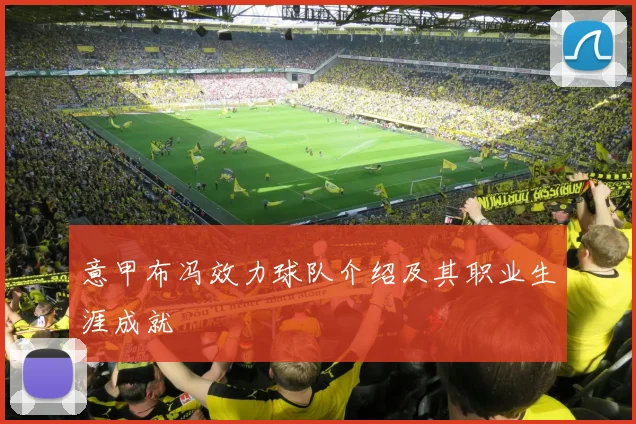 意甲布冯效力球队介绍及其职业生涯成就