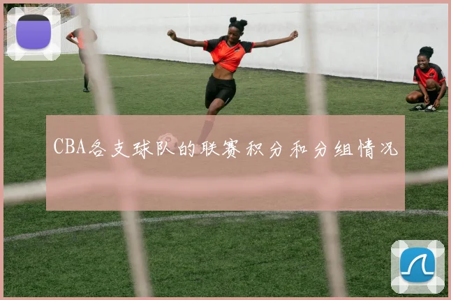 CBA各支球队的联赛积分和分组情况