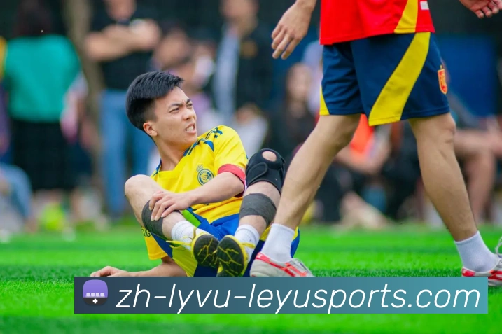 乐鱼体育APP 封面图